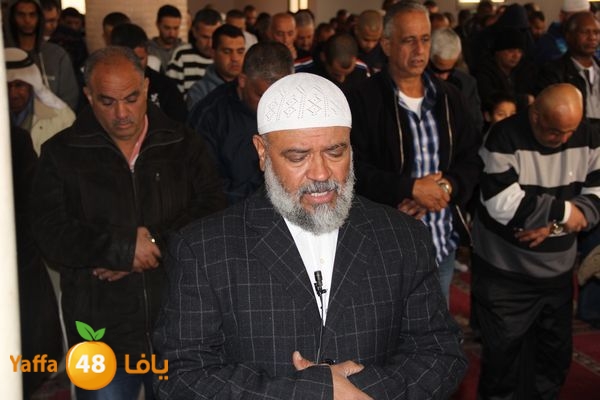 jarhoshuy msajed 0110 (19).JPG